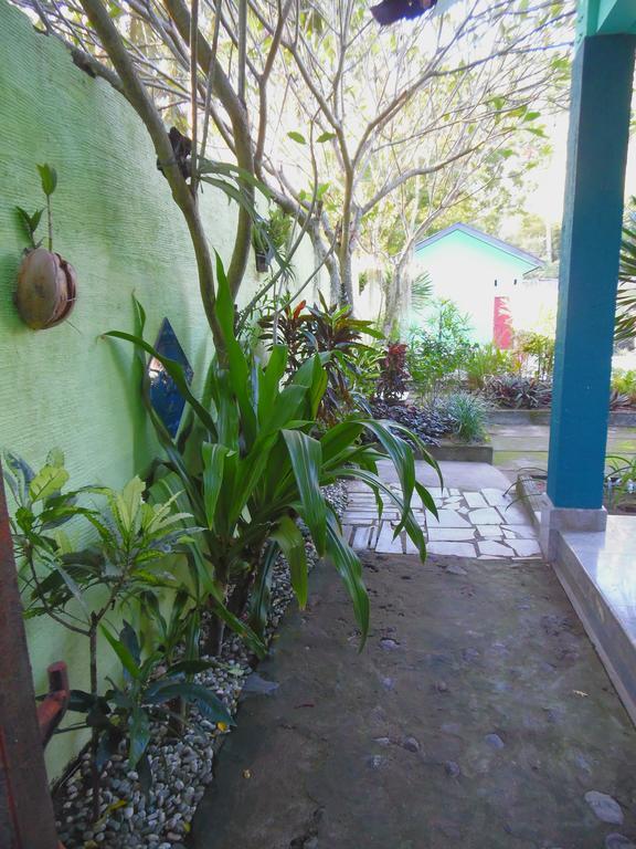 Lazy Monkey Hotel Senggigi Exterior photo